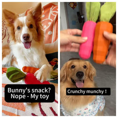 MewaJump milk-flavor carrot toy that attracts dogs during training.