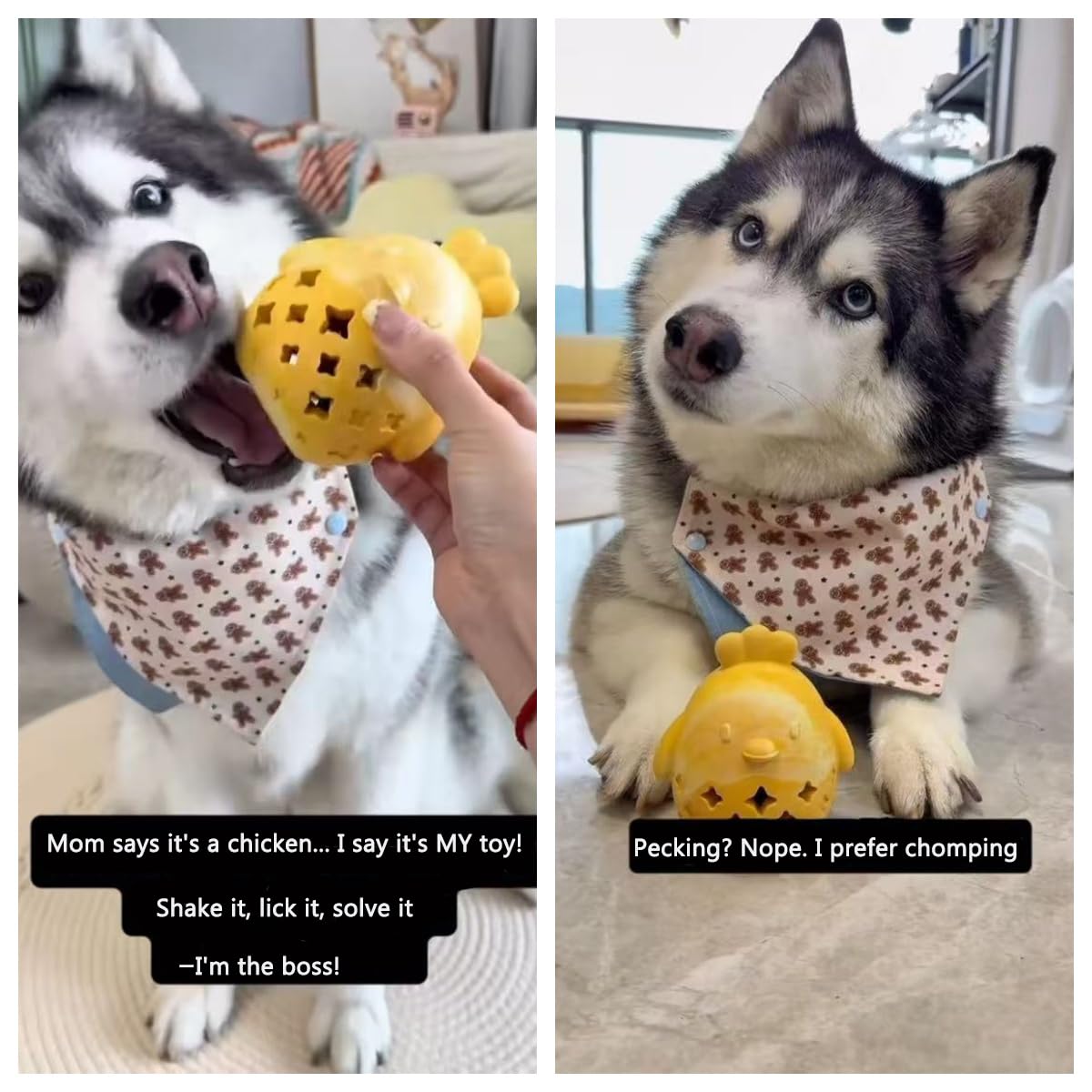 MewaJump natural rubber toy with milky scent supports safe chewing and dental engagement