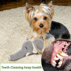 MewaJump plush dog toy crinkle-ears—adds tactile intrigue and audible rewards.