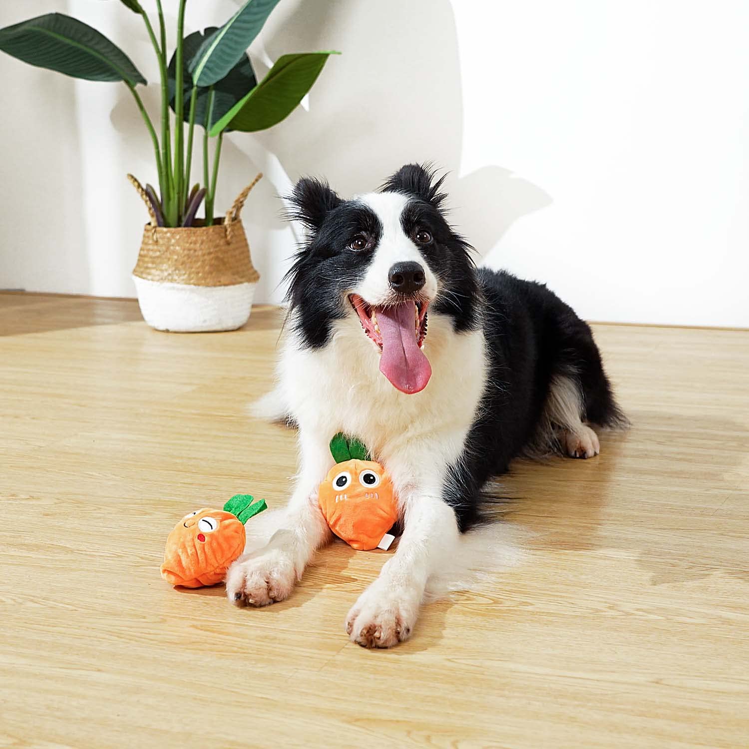 MewaJump puppy enrichment toy—lightweight, durable, ideal for bonding during play.