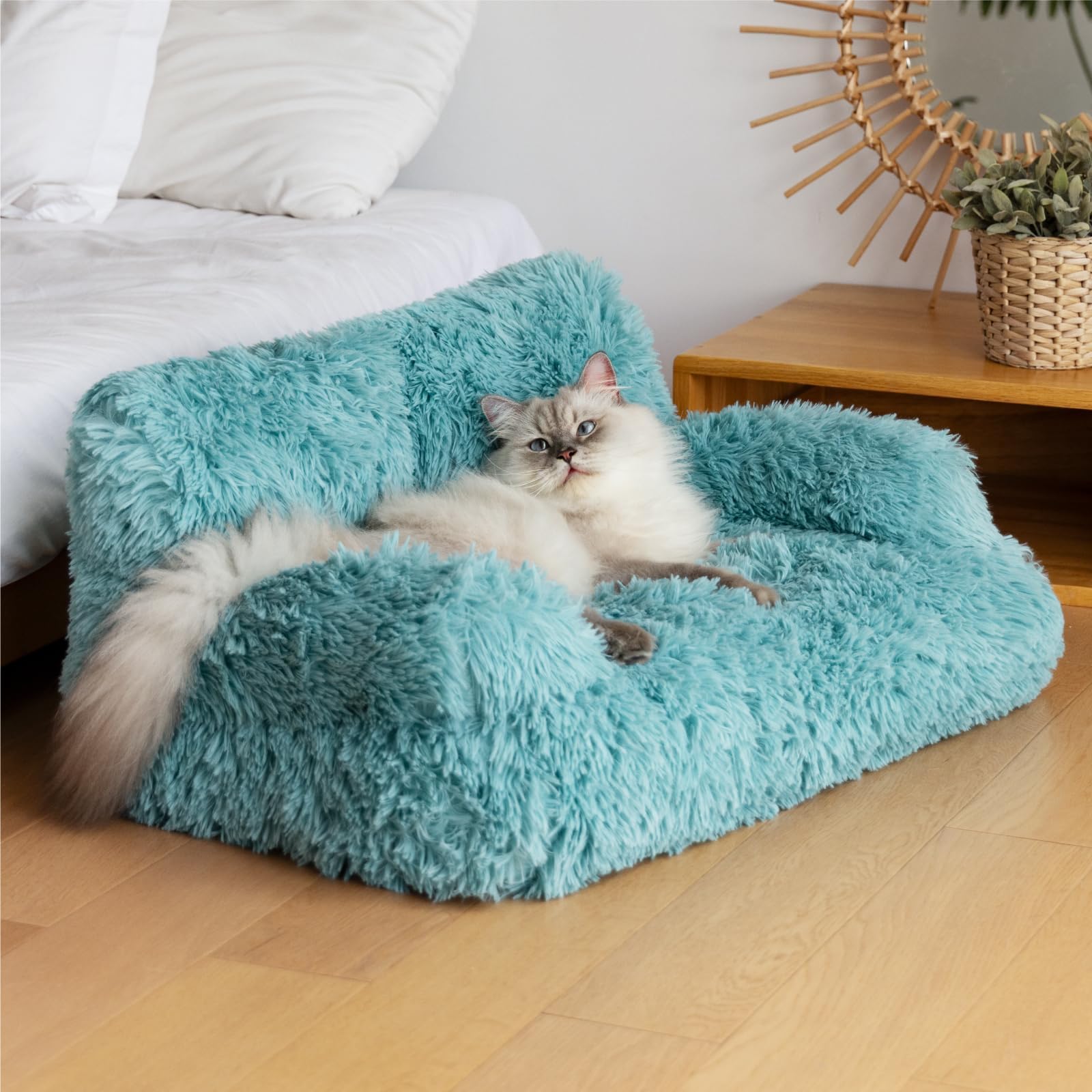 Mewoo Dog Couch living room integration showing stylish lake blue color.
