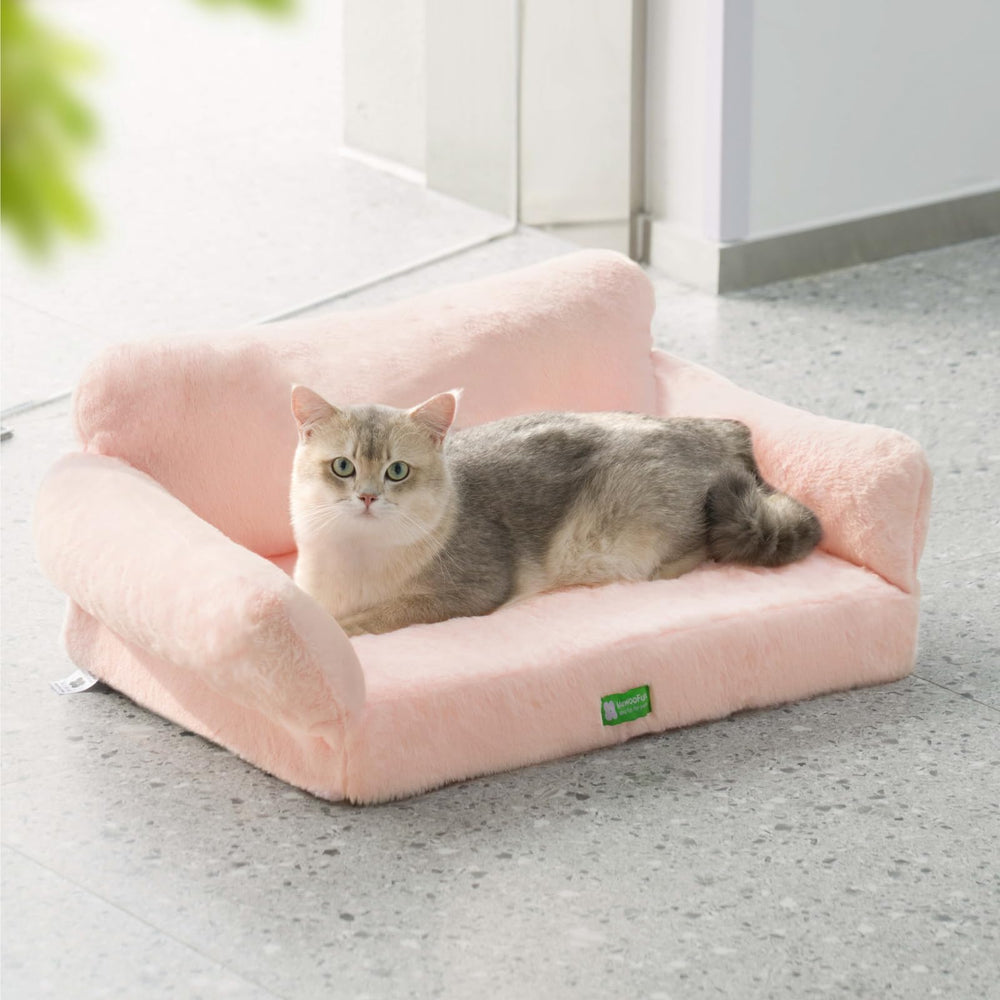 MEWOOFUN cat bed cat-nap-use ideal for relaxing after adventures.