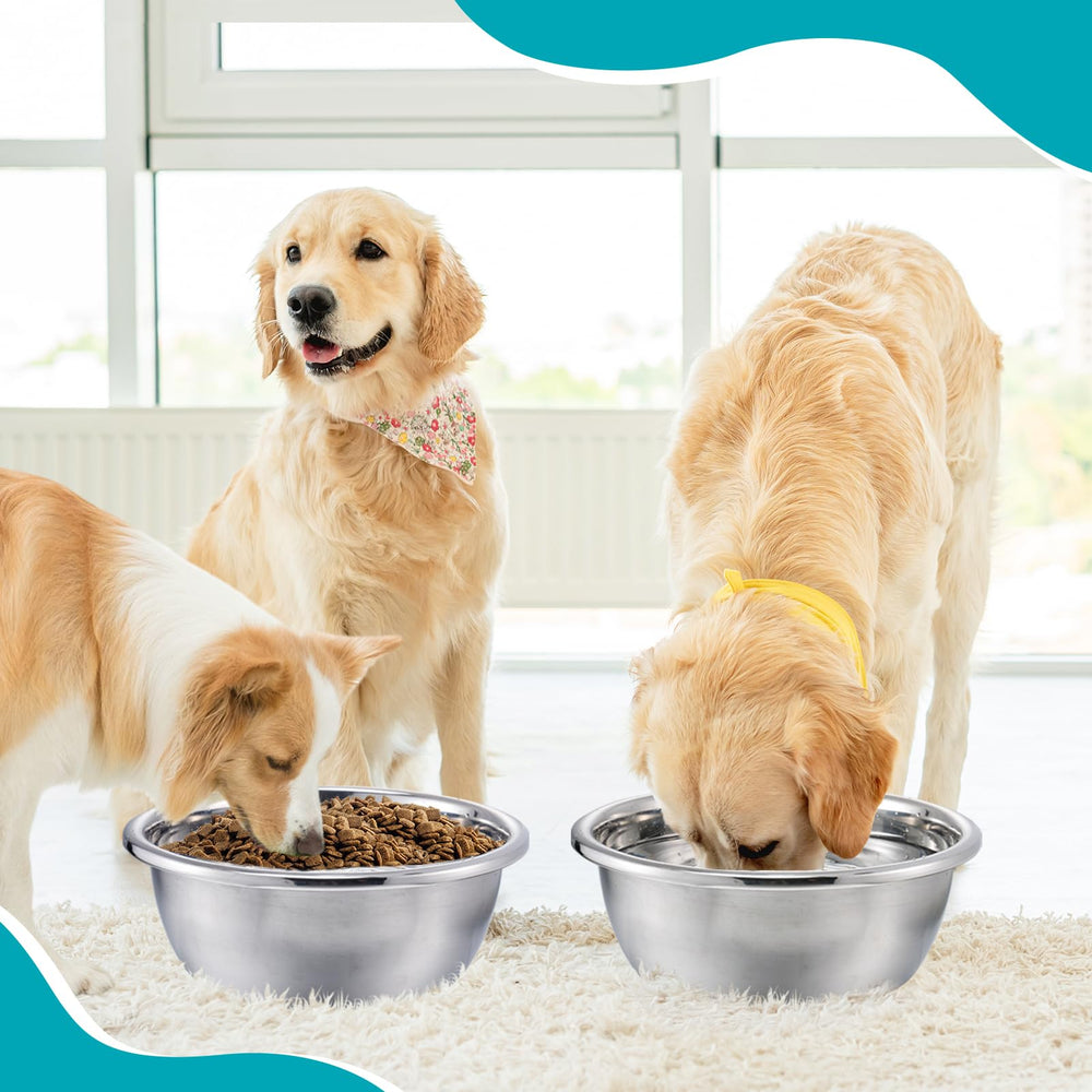 MEWTOGO dishwasher-safe dog bowls for quick cleaning