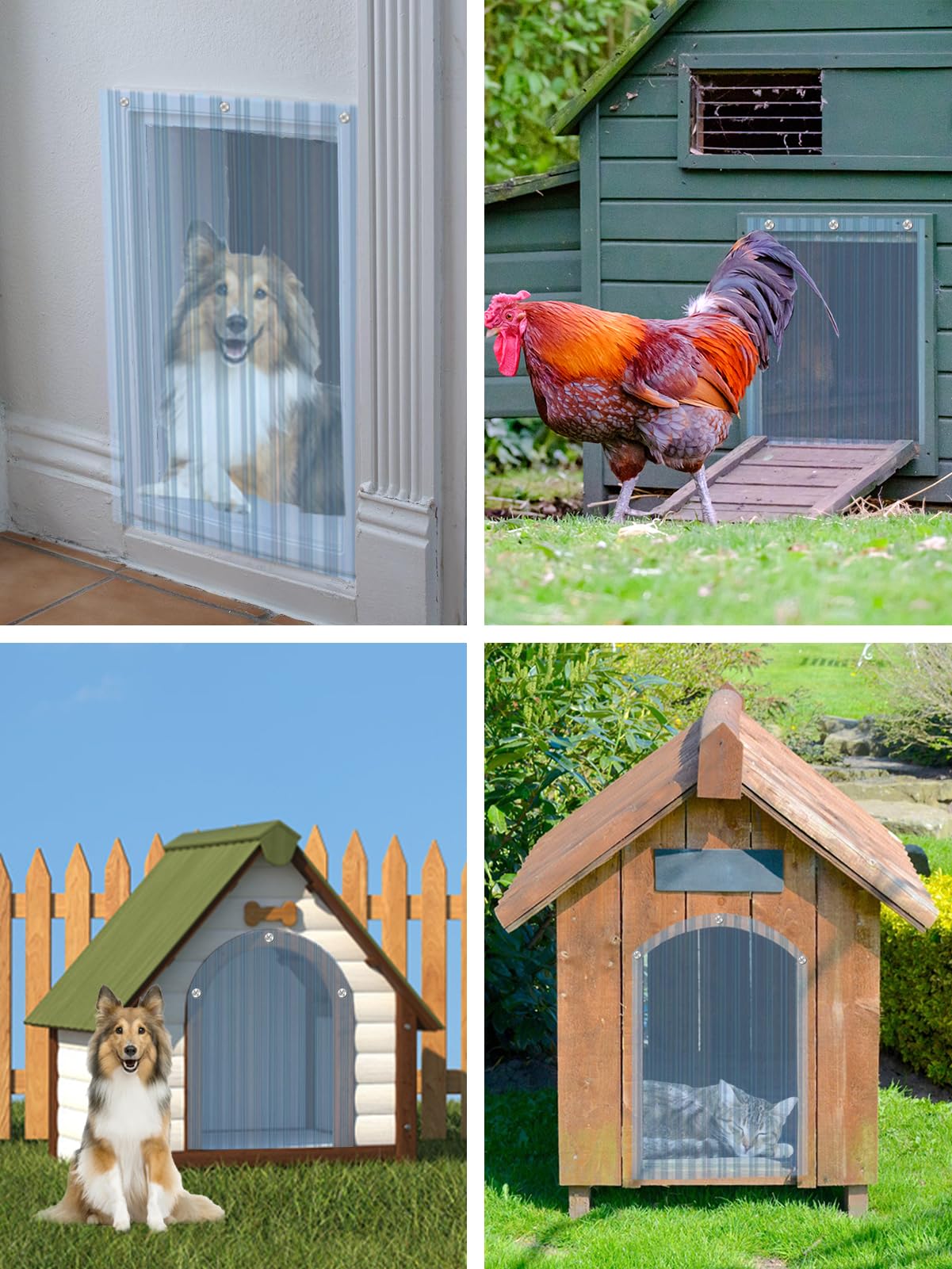 MEWTOGO pet door use image: suitable for dogs and cats.