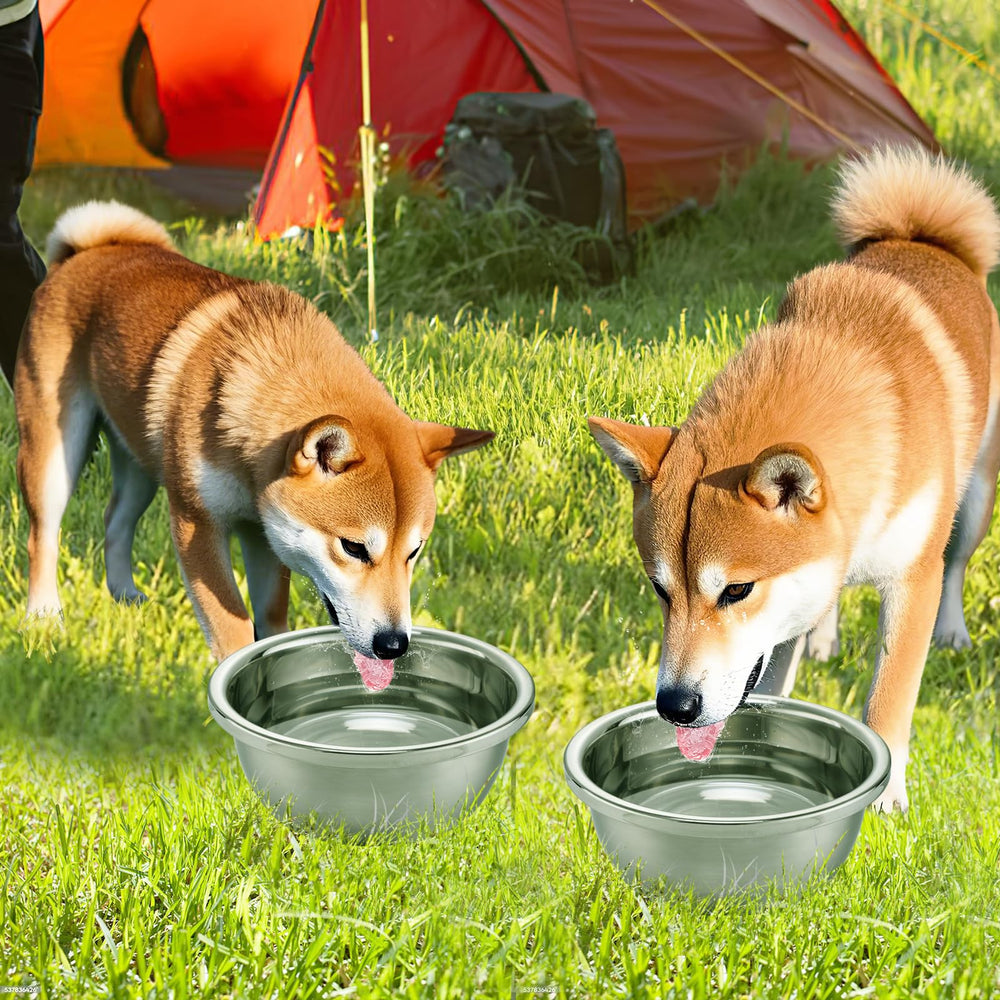 MEWTOGO easy-clean set helps keep bowls fresh between uses
