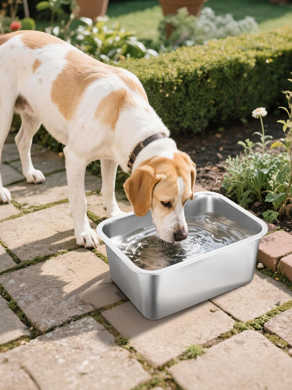 MEWTOGO indoor-outdoor bowl suits versatile placements in any space