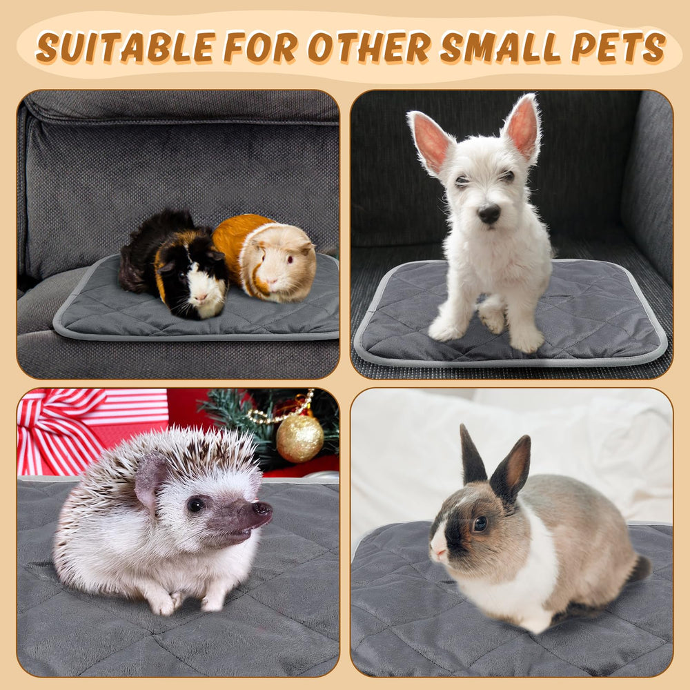 MEWTOGO indoor-outdoor placement option offers a cozy resting spot indoors.