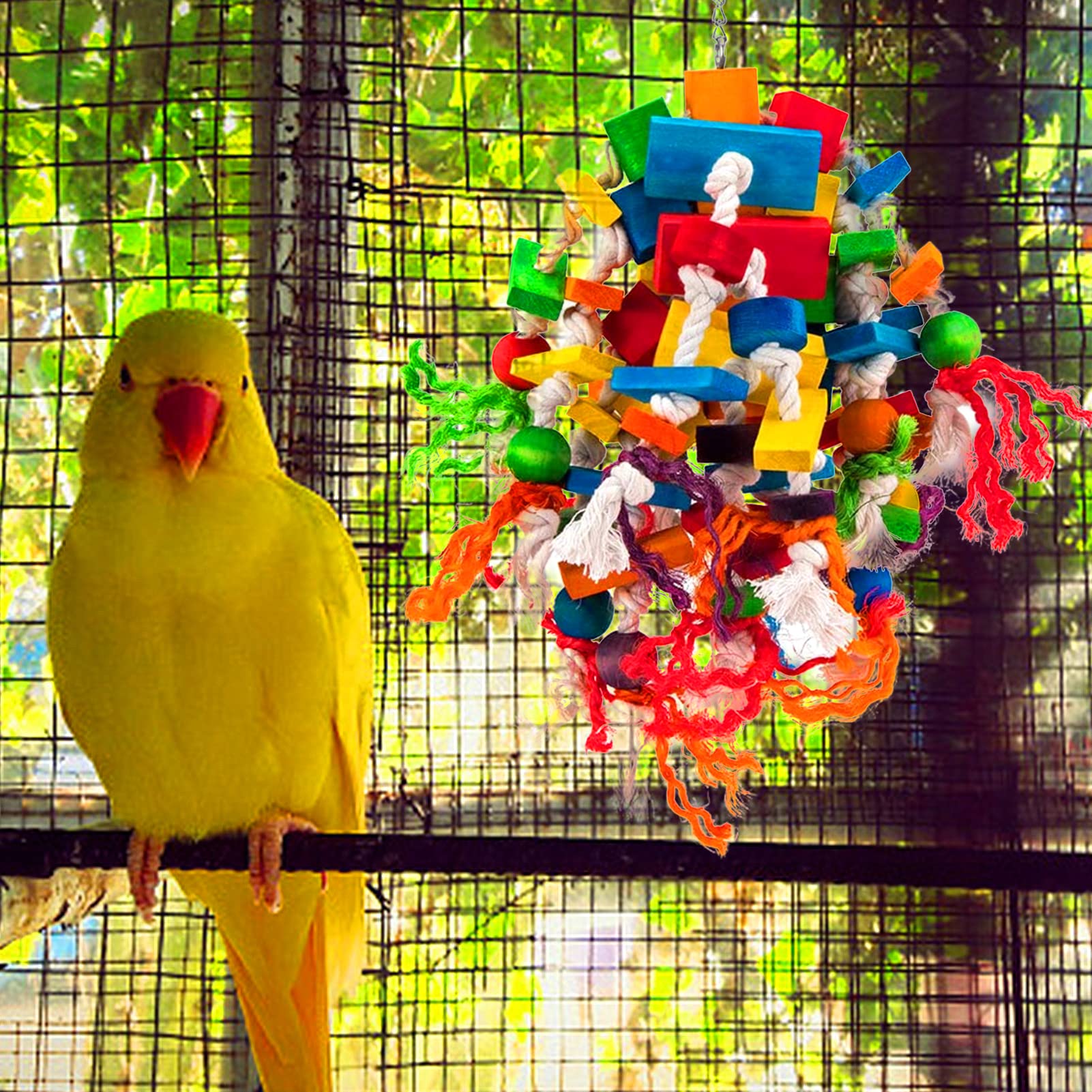 MEWTOGO large parrot toy blocks colors closeup stimulates playtime