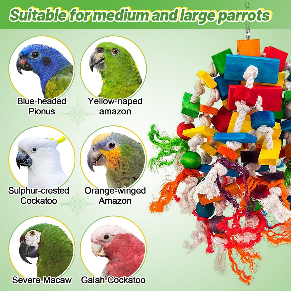 MEWTOGO large parrot toy blocks hardware chain closeup strong
