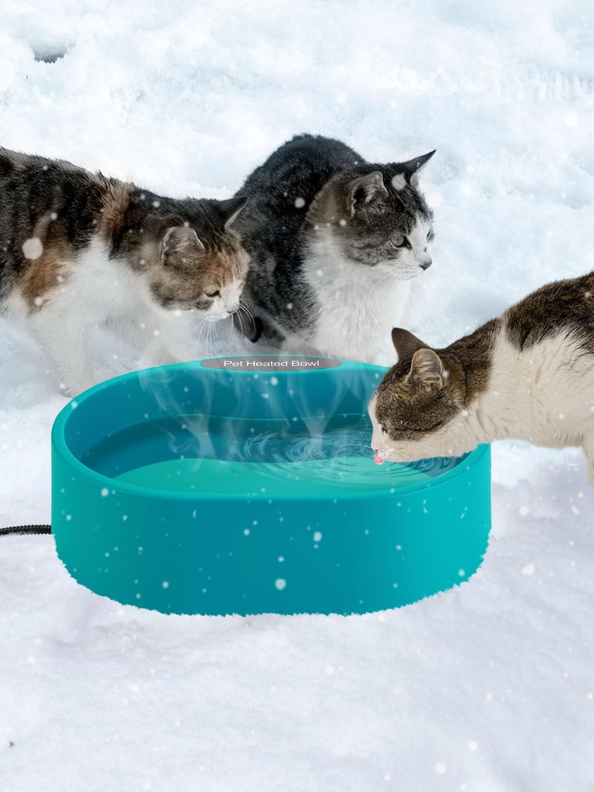 MEWTOGO no-indicator design reduces stress for skittish animals during drinking