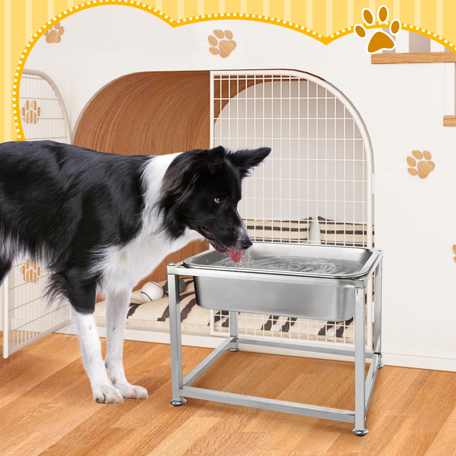 MEWTOGO indoor outdoor dog bowl suitable for versatile placement