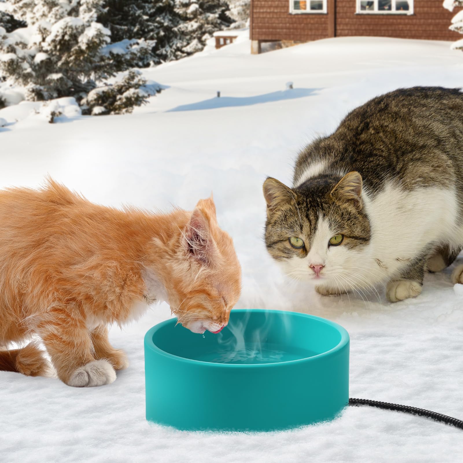 MEWTOGO easy plug-in operation for quick outdoor hydration setup