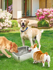 MEWTOGO stainless steel dog bowl close-up shows rust-proof durable surface