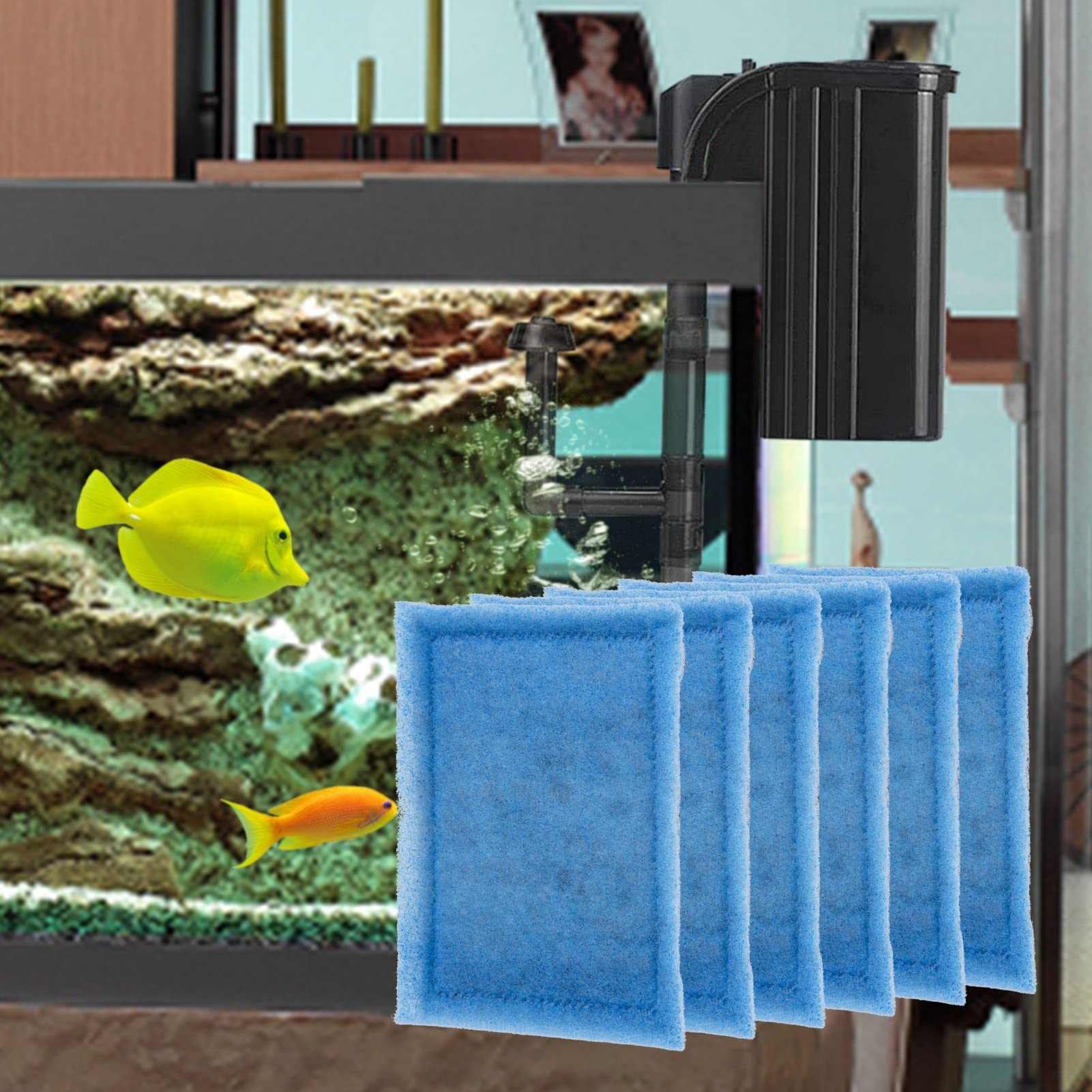 MEWTOGO water-clear environment suggests cleaner tank water