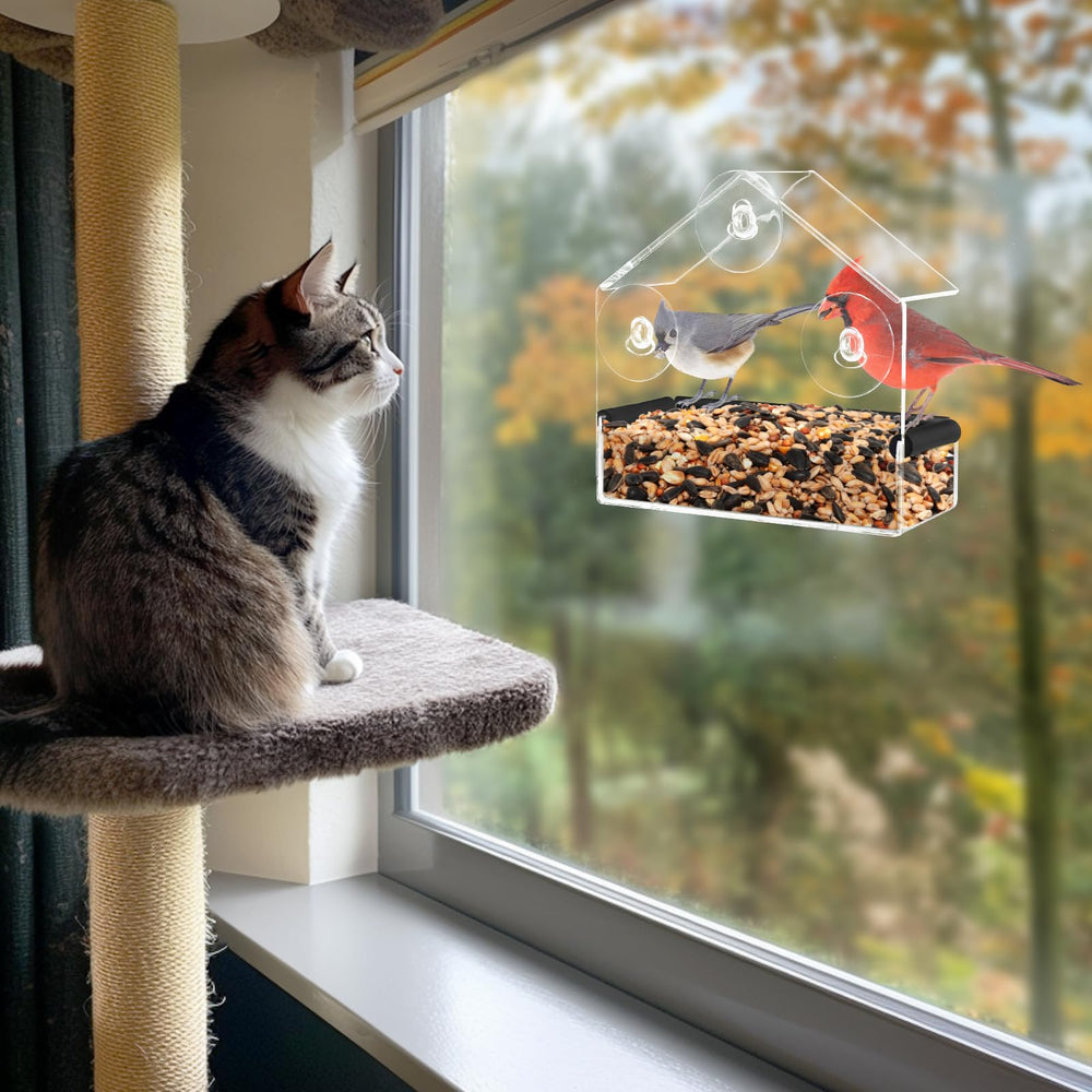 MEWTOGO gift-ready packaging makes a thoughtful cat gift.