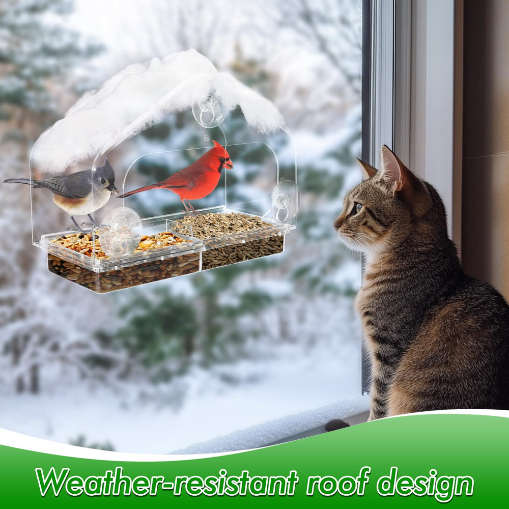 MEWTOGO window bird feeder with suction cups securely attaching to a window
