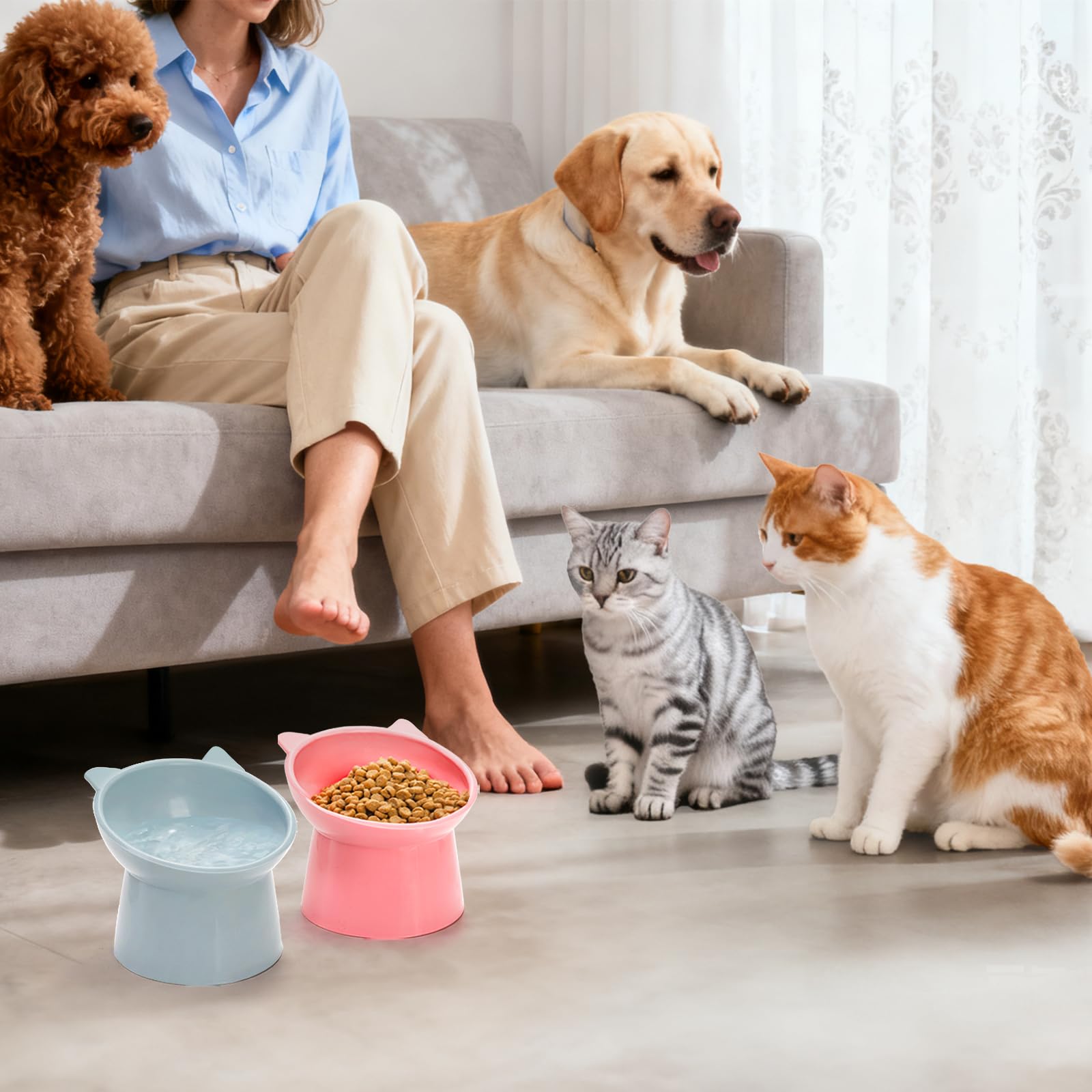 Mezchi color-palette bowls add vibrant presentation to feeding time.