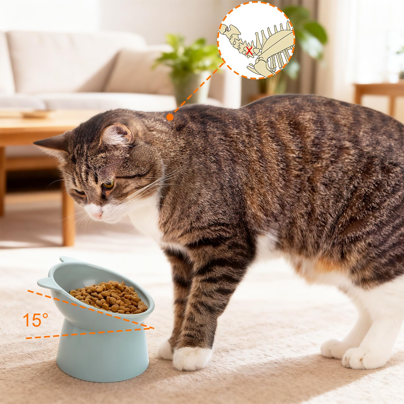 Mezchi smooth-surface bowls are easy to clean after meals.