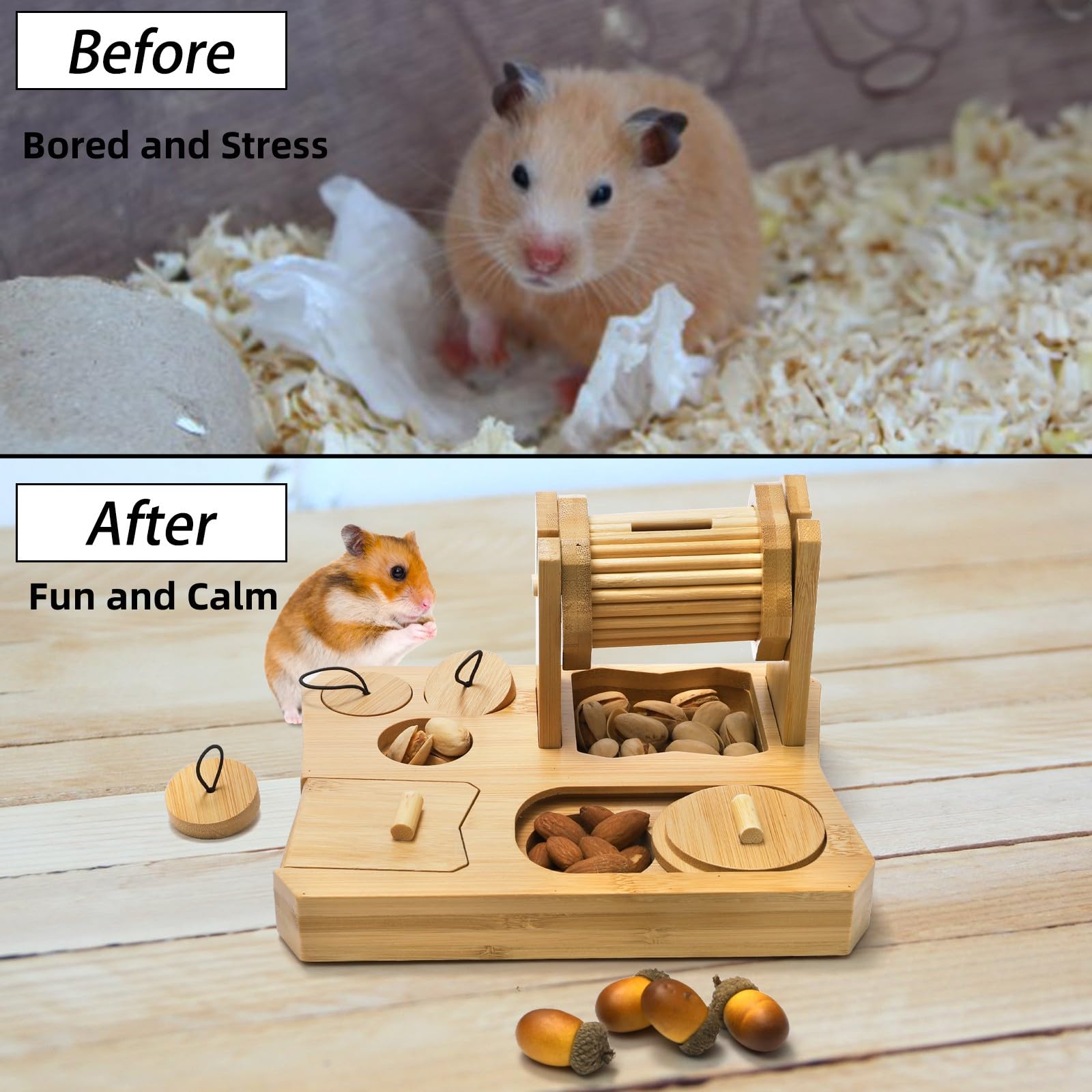 Mezchi treat-hide foraging—hidden-food play for smarter pets