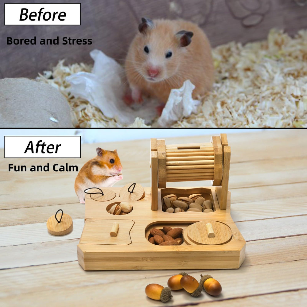 Mezchi treat-hide foraging—hidden-food play for smarter pets