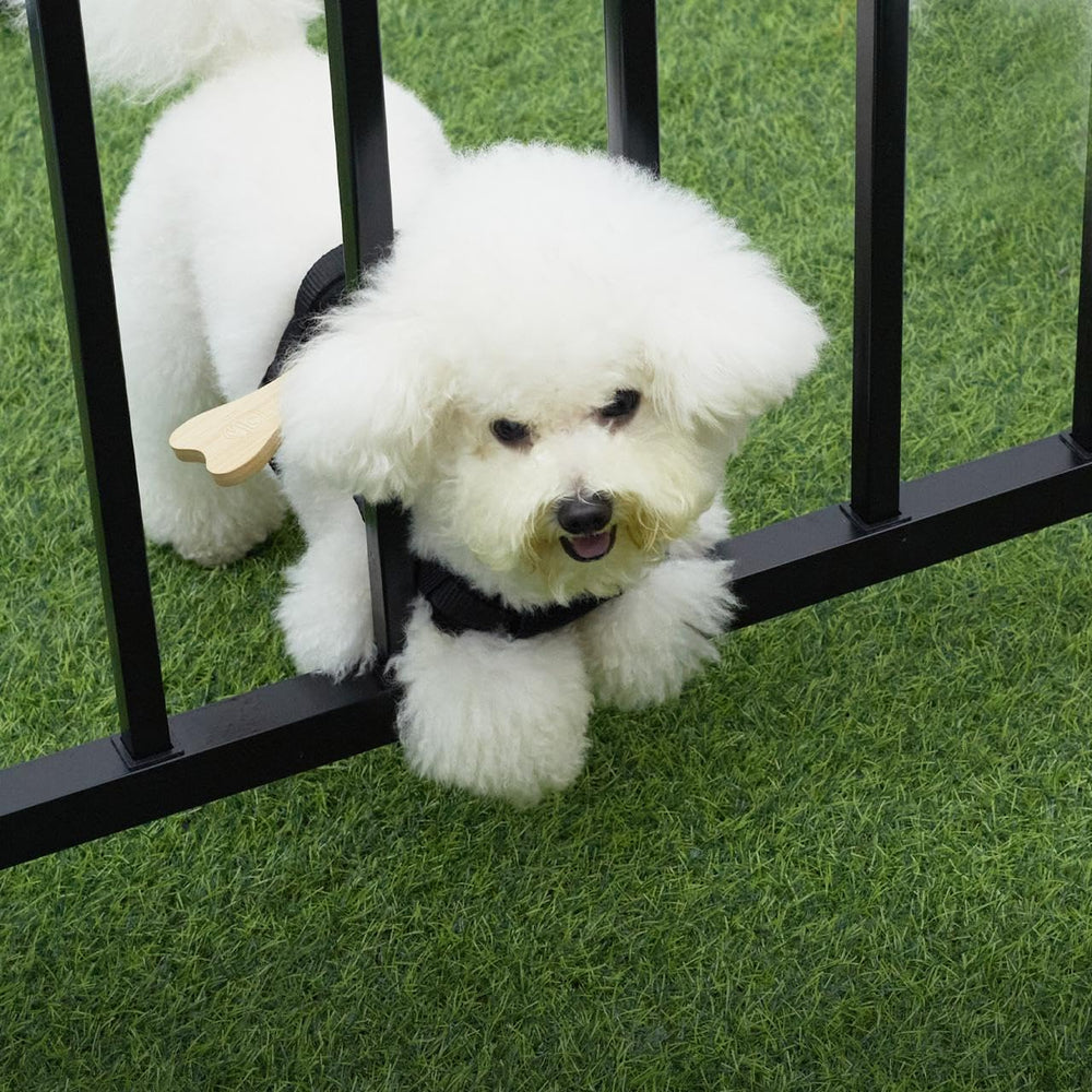 MFC harness with wooden bone blocks escapes for small dogs in outdoor spaces
