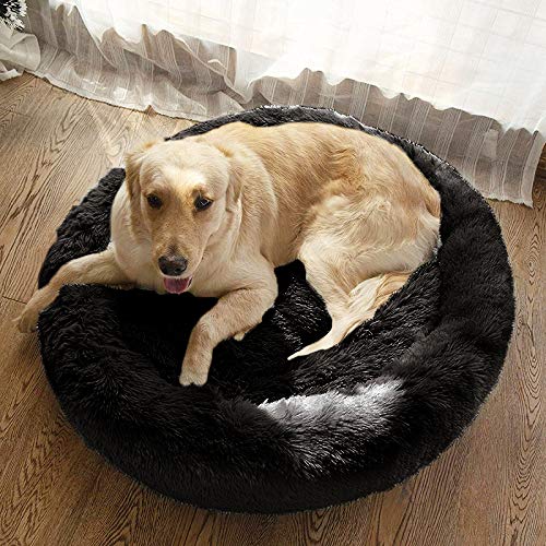 MFOX Calming Dog Bed size range demonstrated for medium to large dogs