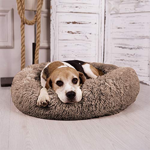 MFOX Calming Dog Bed available in sizes from S to XL for various breeds.
