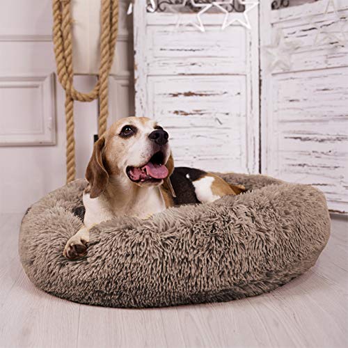 MFOX Calming Dog Bed ships vacuum-sealed for space-saving transit.