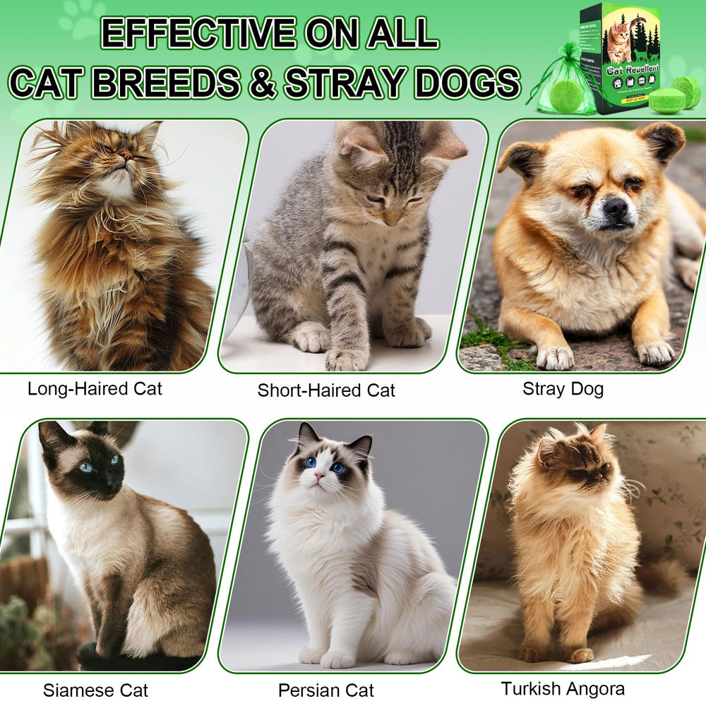 Mgkenk cat deterrent plant protection in garden beds with safe use