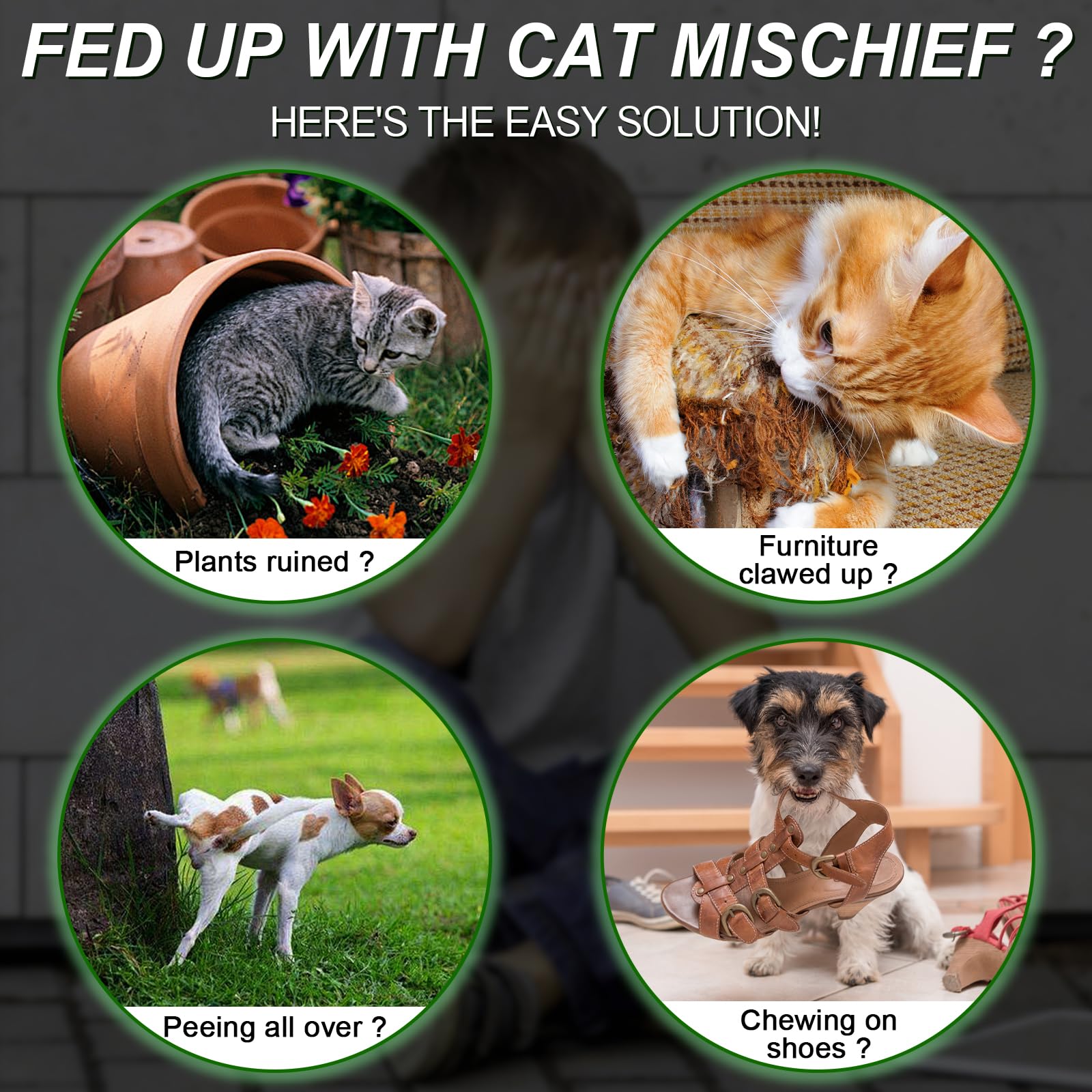 Mgkenk cat deterrent yard application demonstrates large coverage