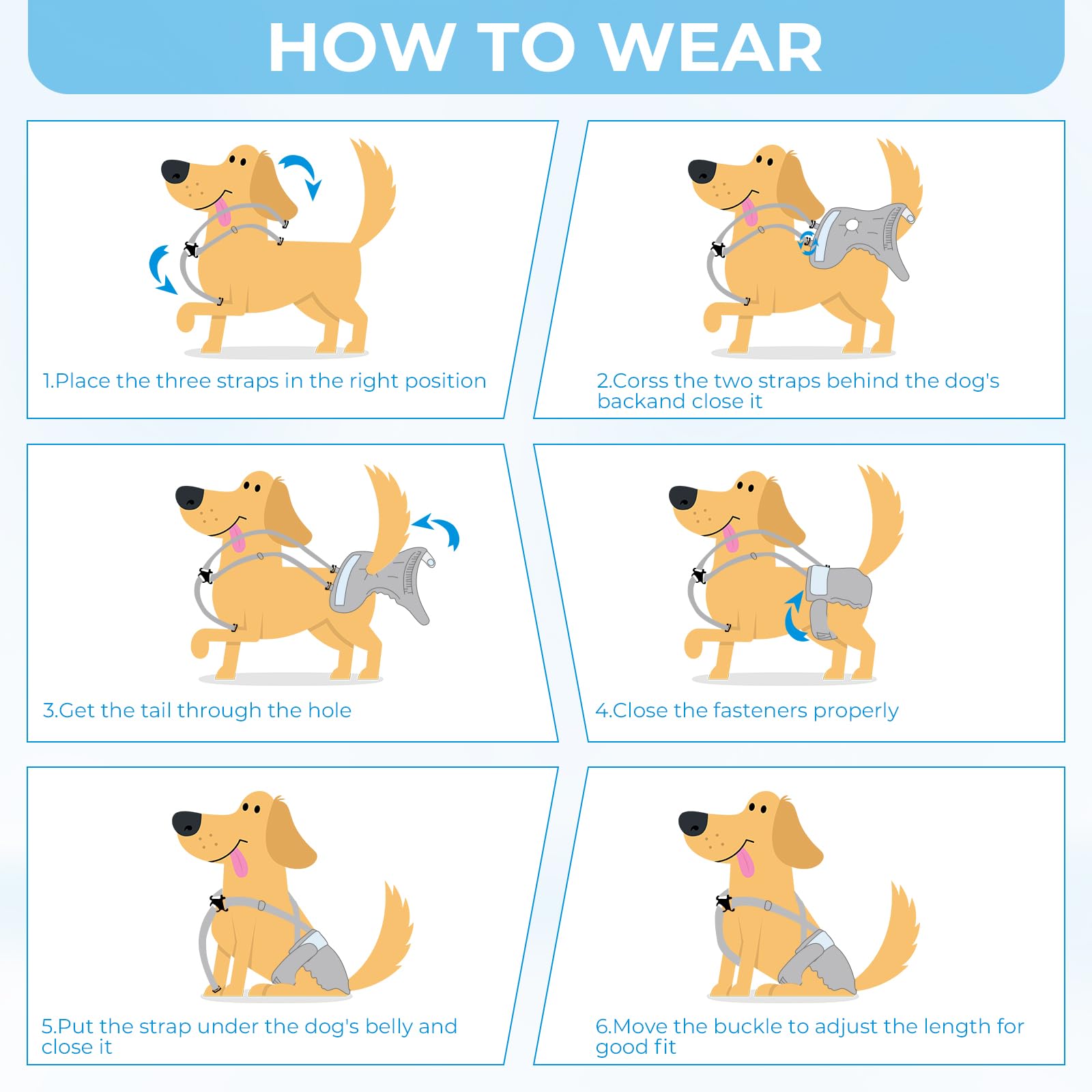 MGY ideal for dogs in heat or incontinence with active lifestyles