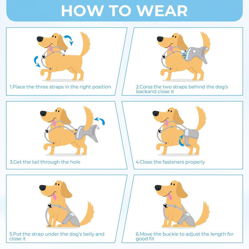 MGY ideal for dogs in heat or incontinence with active lifestyles