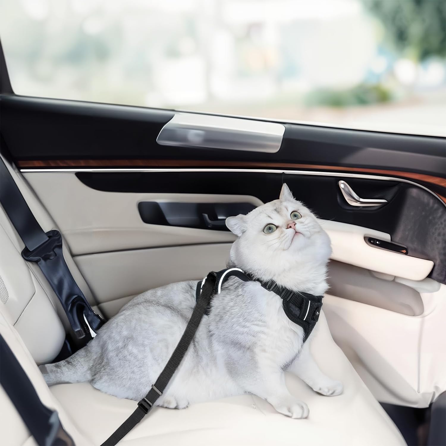 MHHYQF cat car harness with seatbelt insert enables safe car outings.