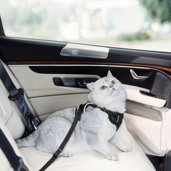 MHHYQF cat car harness with seatbelt insert enables safe car outings.