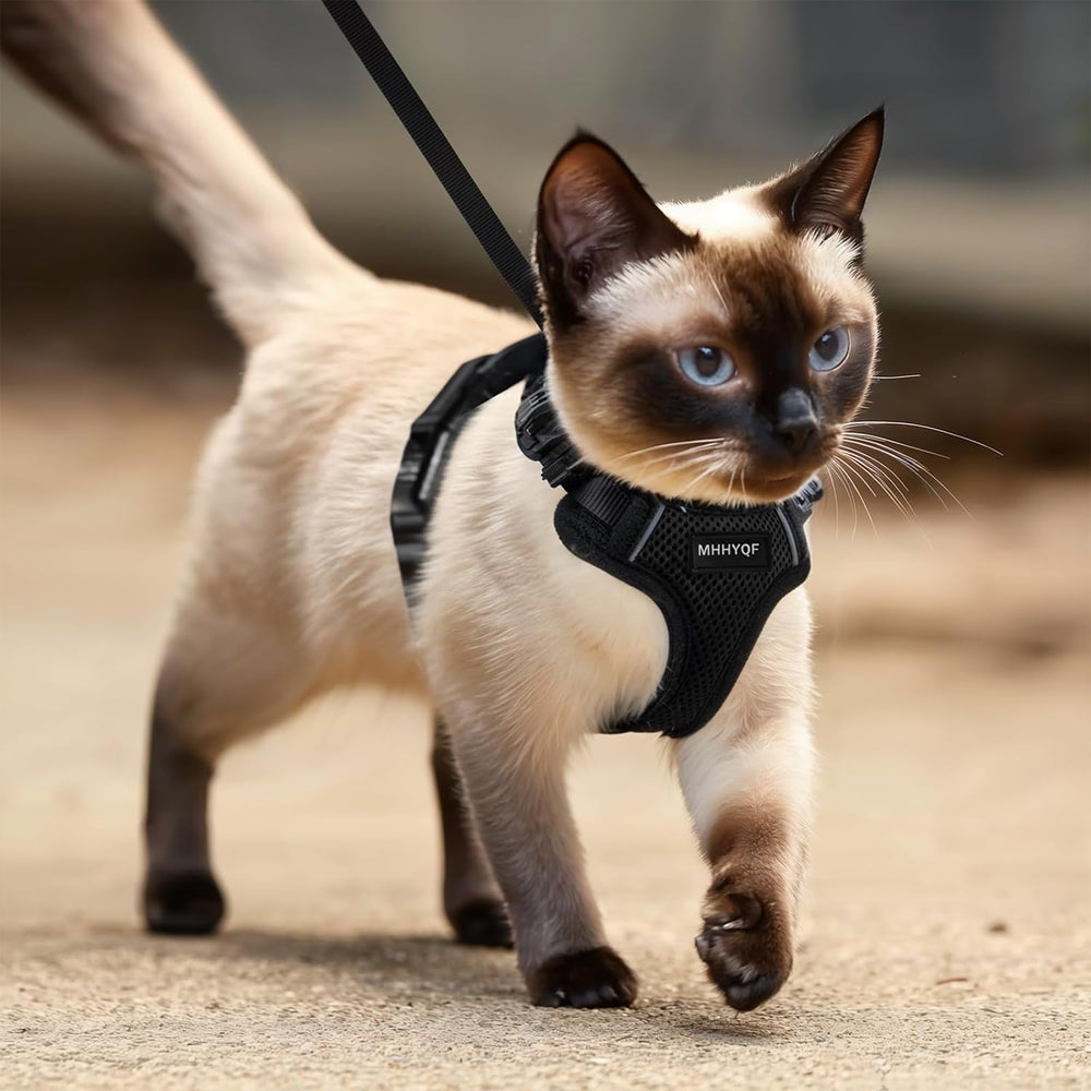 MHHYQF cat harness size measurement guide helps achieve proper fit.