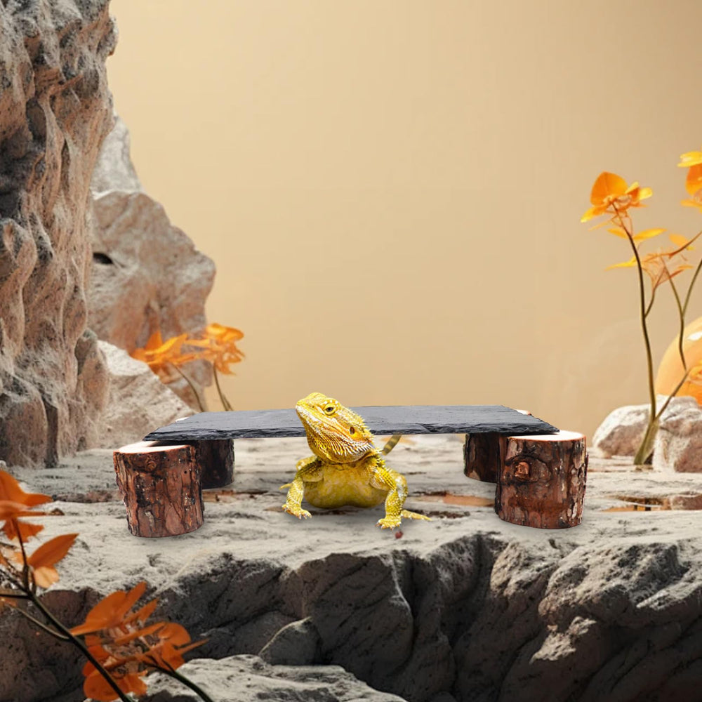 MHLLGN wide-use design fits bearded dragons, geckos, pythons, and tortoises