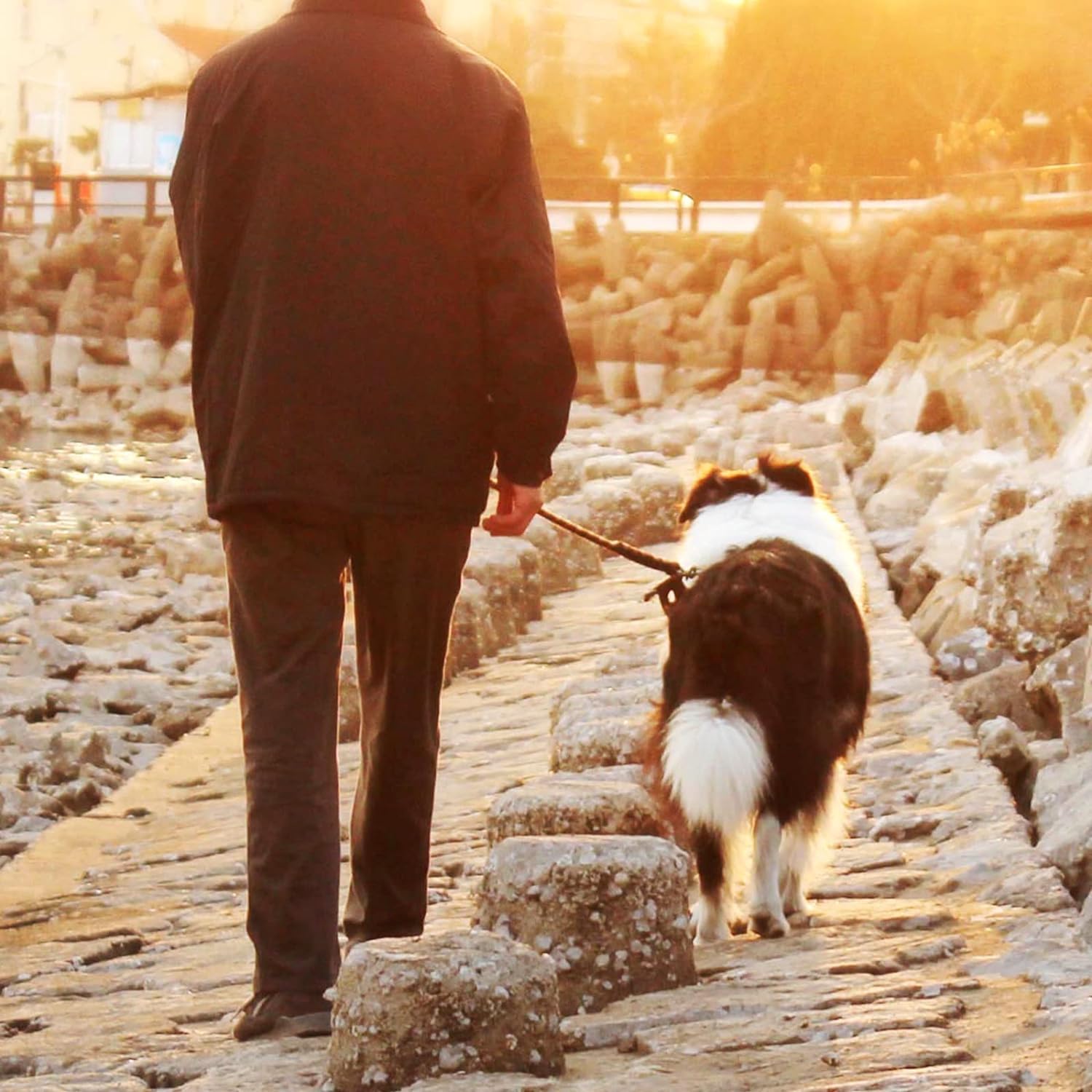 Mi Metty 360-degree rotating hooks ease leash attachment