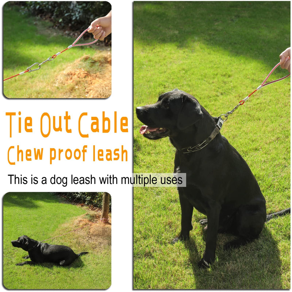 Mi Metty 360-degree swivel leash prevents tangles during walks.
