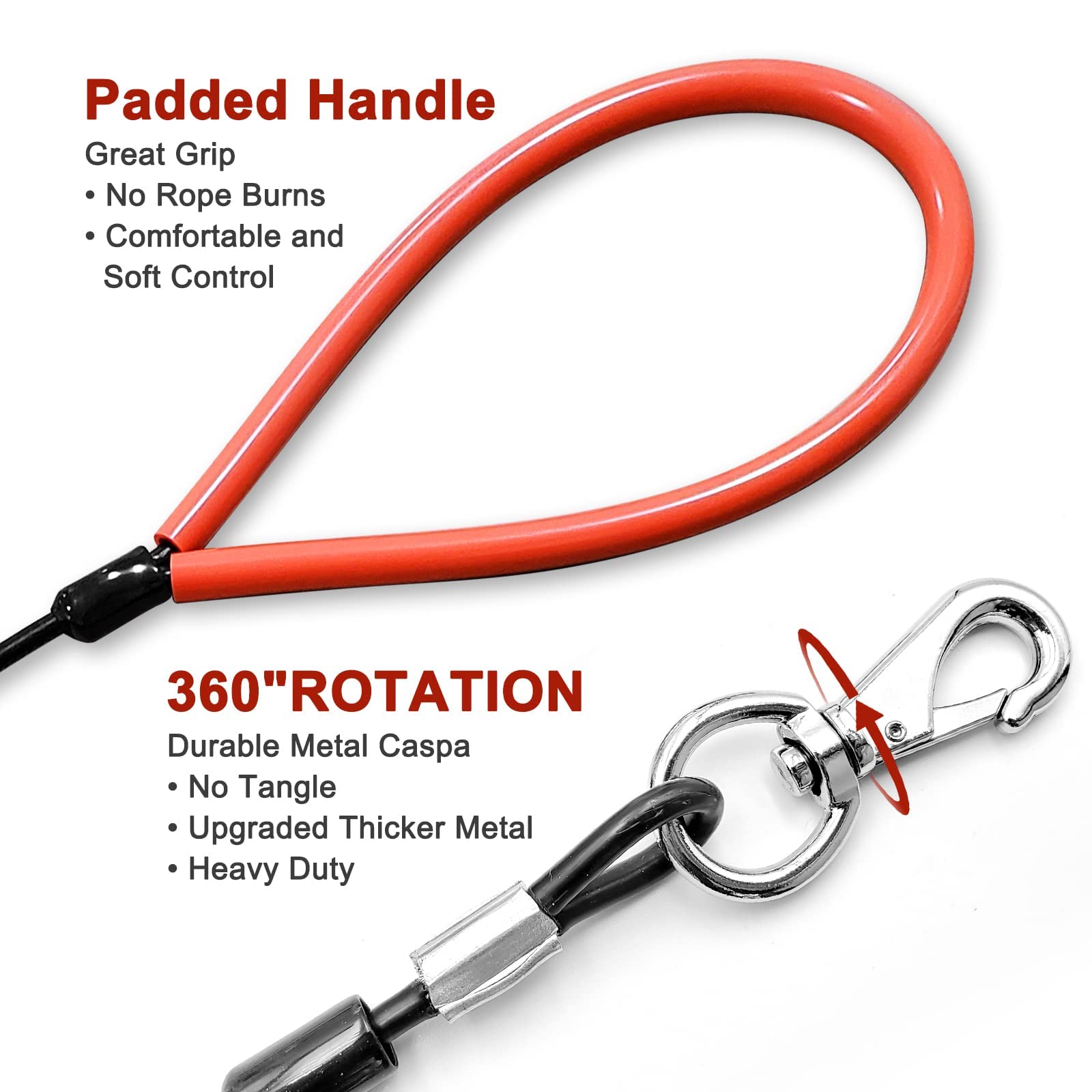 Mi Metty 5ft dog leash demonstrates ample space for outdoor exploration.
