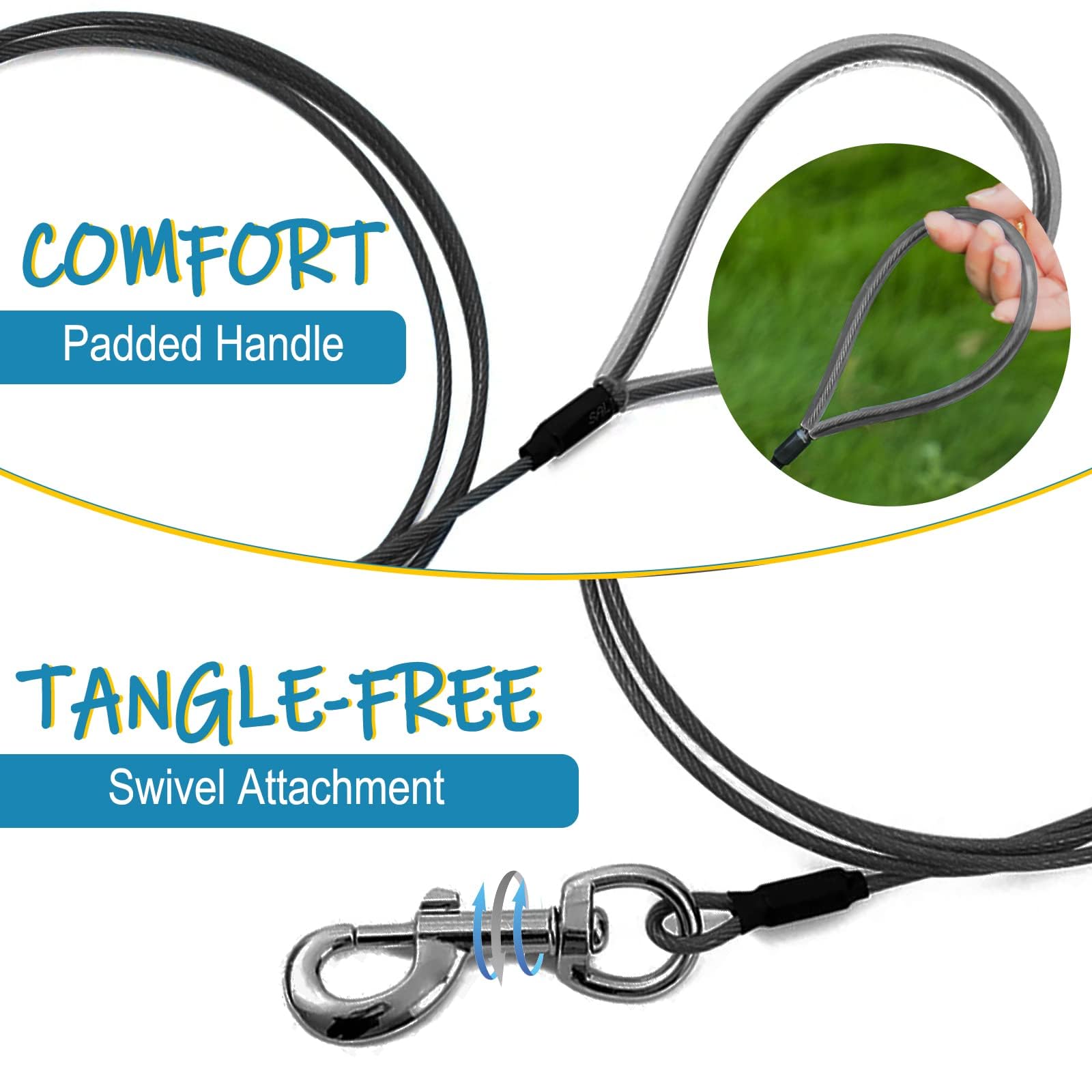 Mi Metty black and blue leash ready for daily outdoor adventures