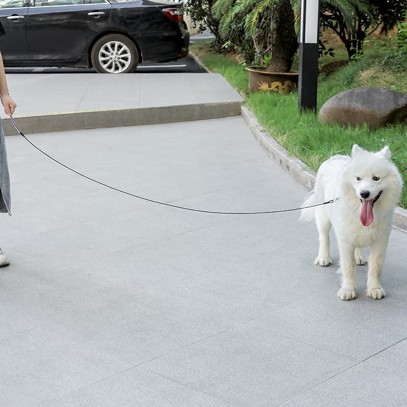 Mi Metty chew-proof leash used by strong chewers for safety and grip