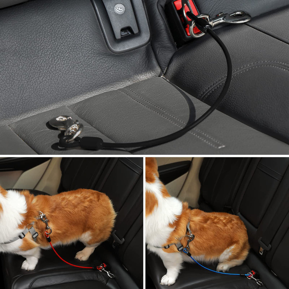 Mi Metty chew-proof leash highlights durability and resilience.