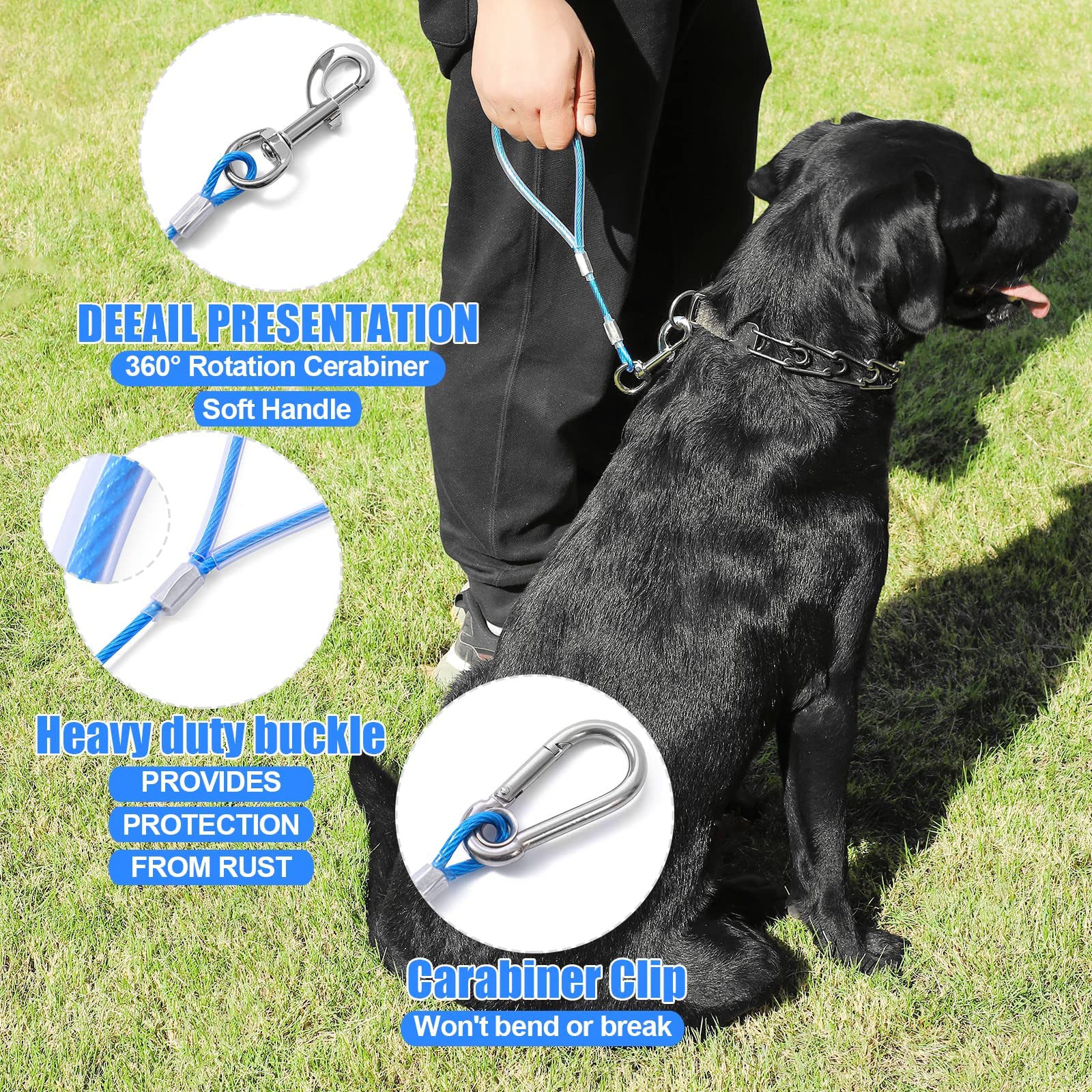 Mi Metty detachable short handle leash demonstrates tie-out use on busy sidewalks.