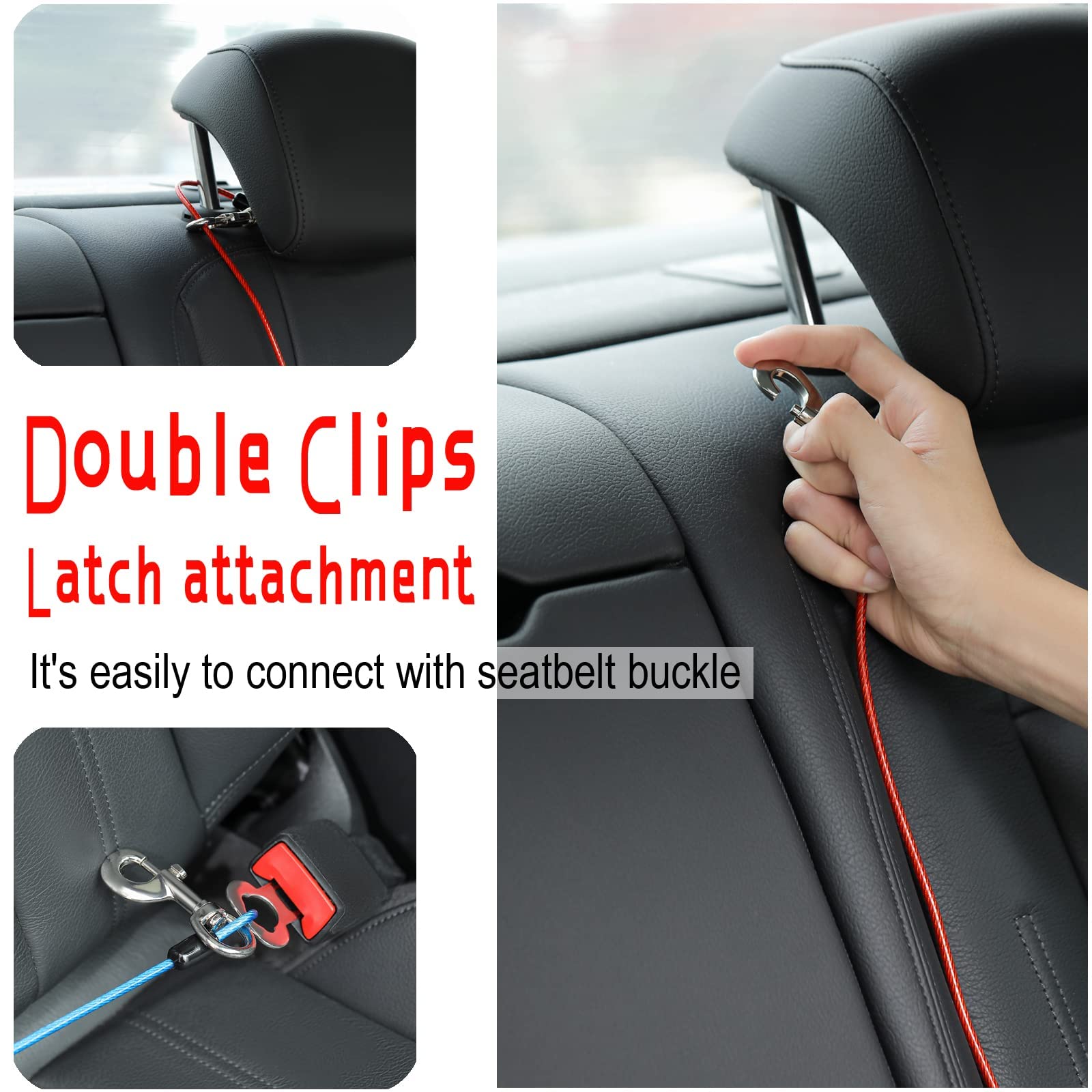 Mi Metty safety-aware car use demonstrates restrained dog during drive.