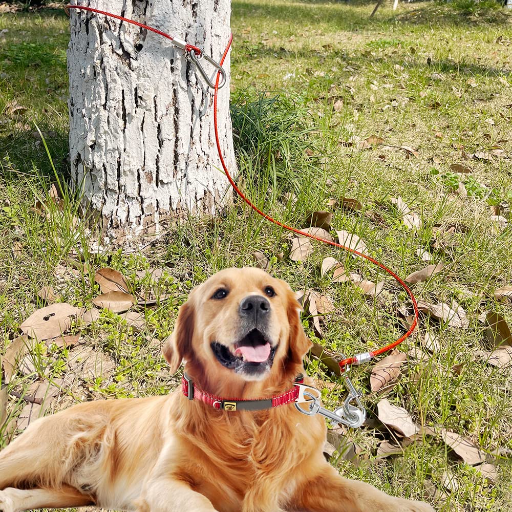 Mi Metty 5ft leash provides ample walking space for all dogs