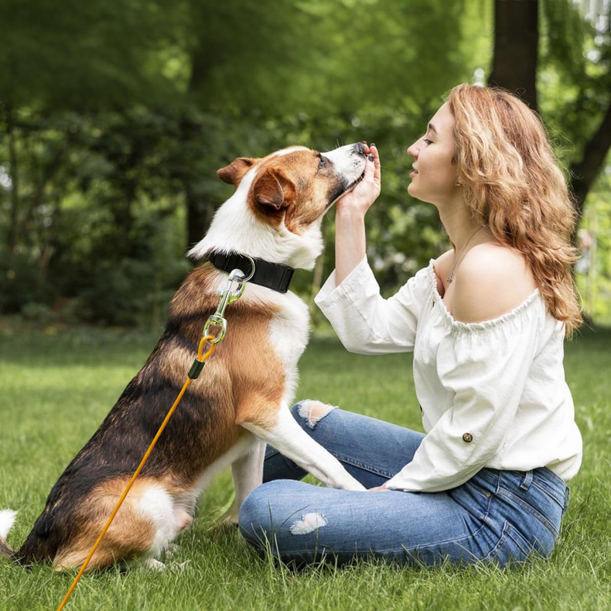 Mi Metty factory-direct brand story emphasizes affordable, high-quality dog leashes.