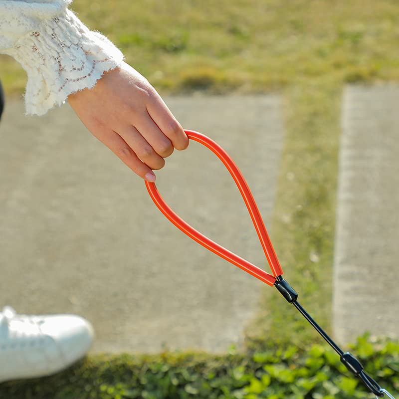 Mi Metty leash designed for large dogs up to 250 pounds.