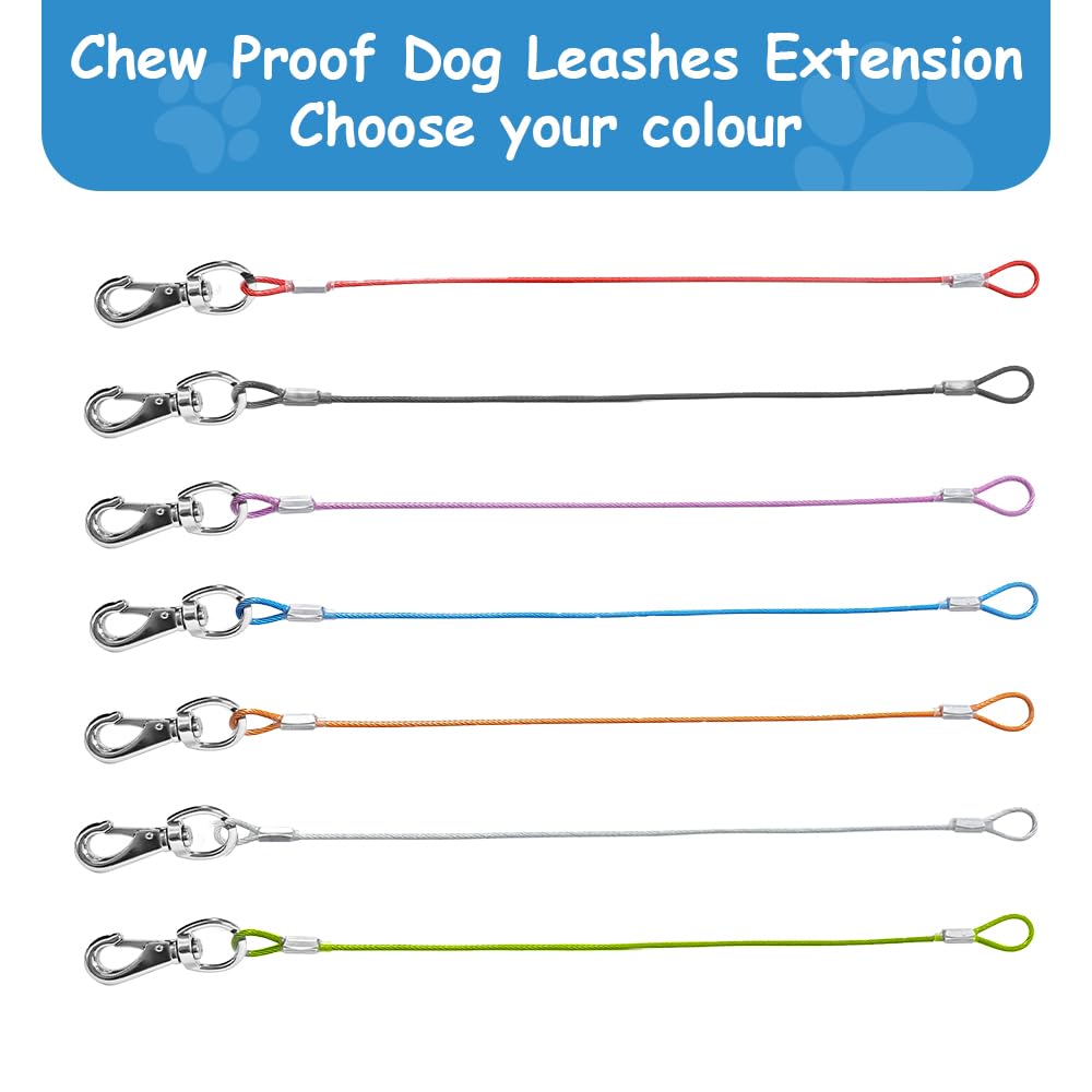 Mi Metty multi-dog walking setup image suggests walking multiple dogs with one leash