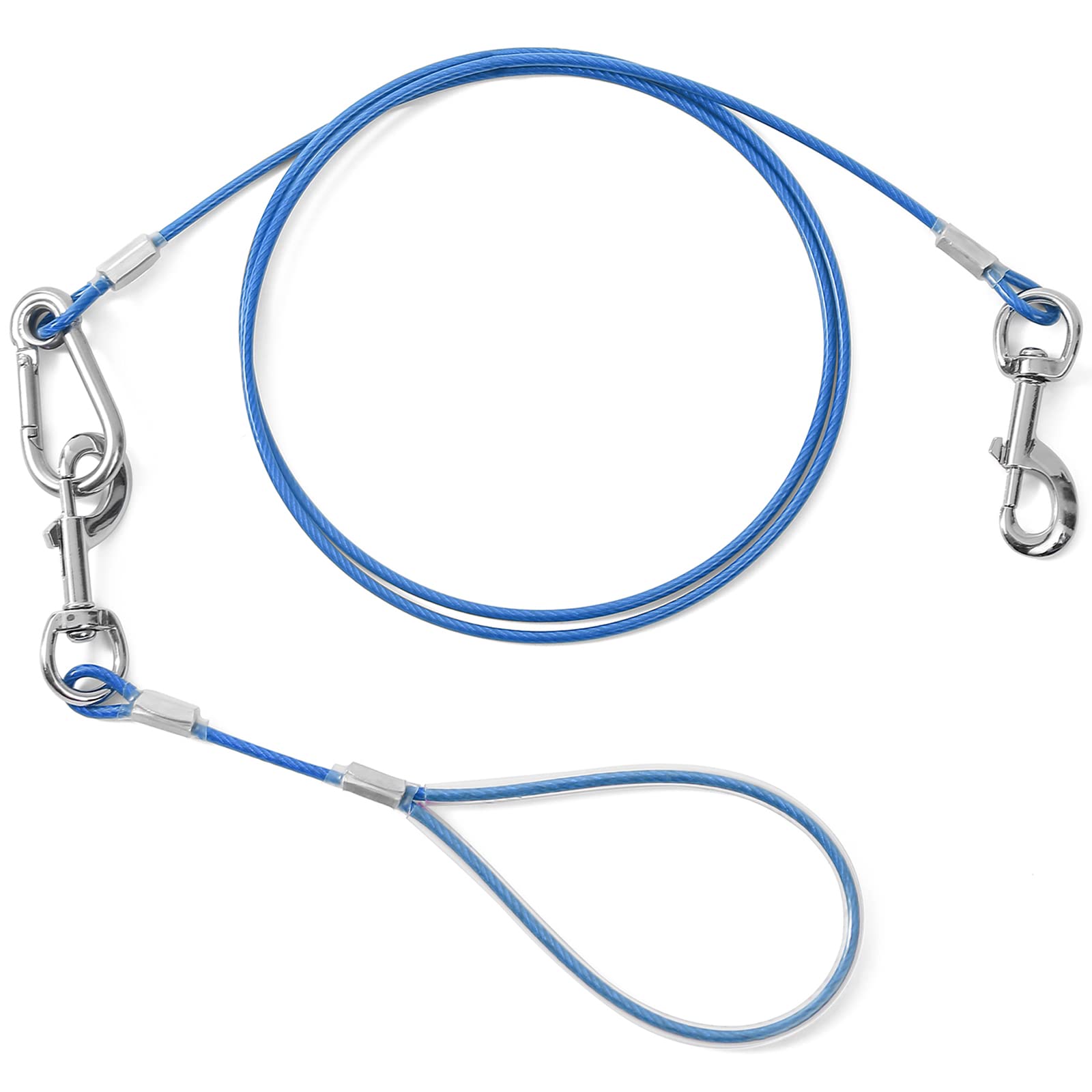 Mi Metty leash on busy sidewalks and bike paths for safe control
