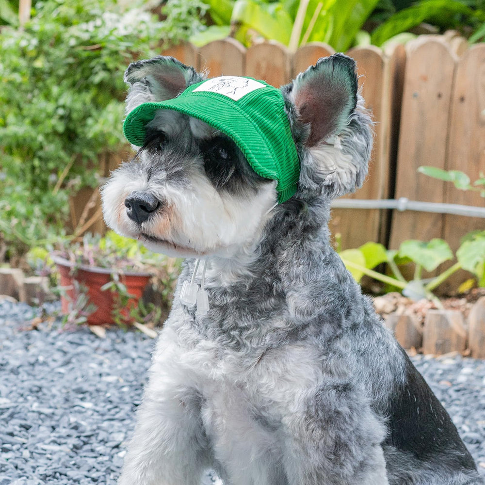 MIANHUATANG Cat Hat with ear holes keeps ears free during play